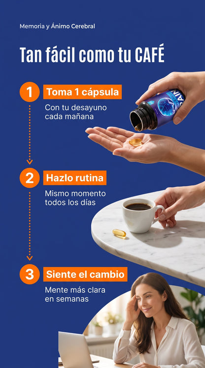 BRAIN MEMORIA Y ENERGIA
