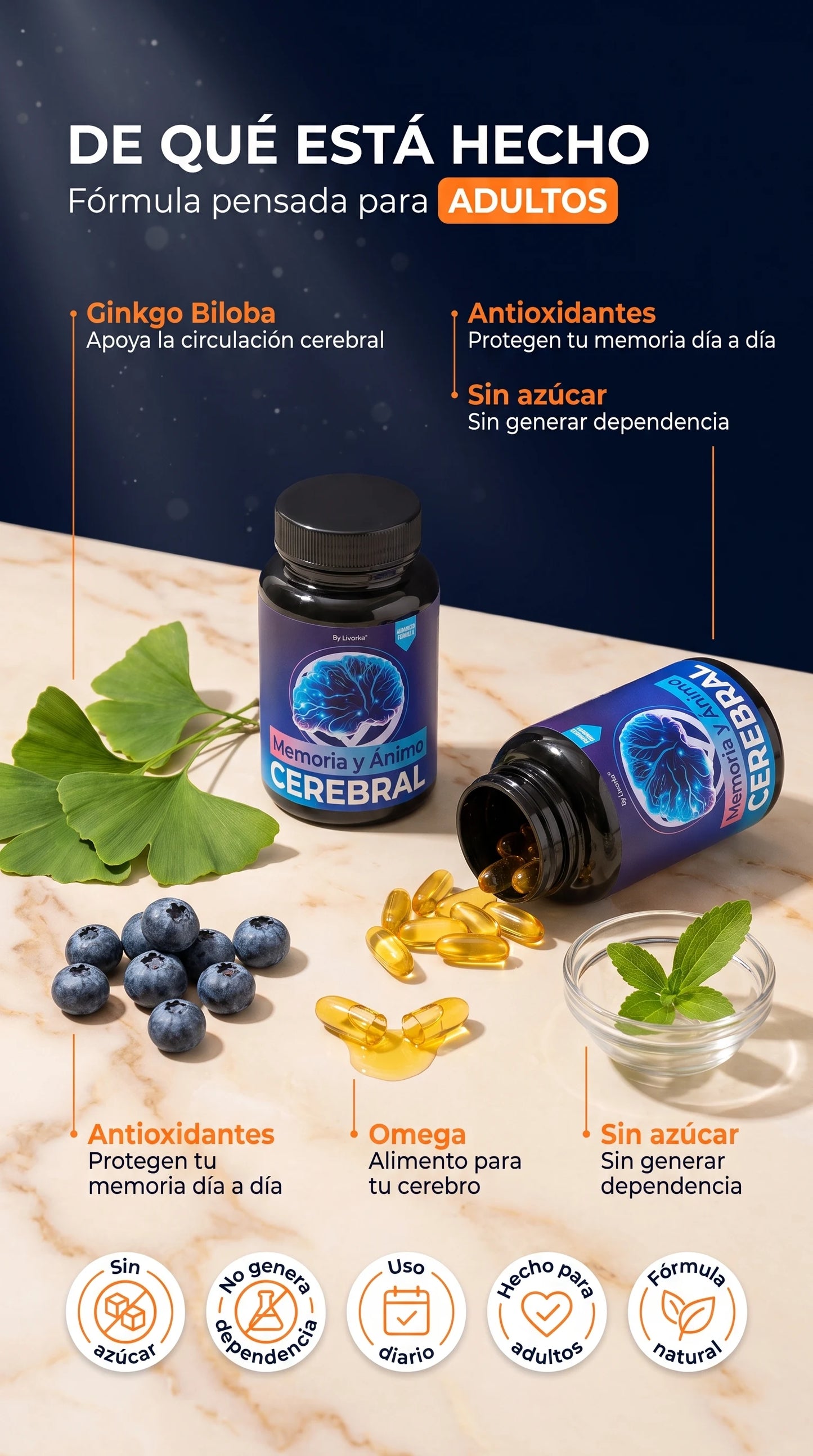 BRAIN MEMORIA Y ENERGIA