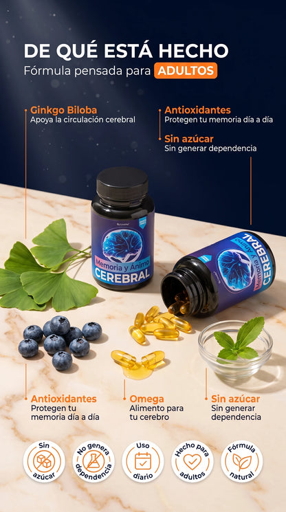 BRAIN MEMORIA Y ENERGIA